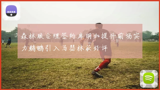 森林狼合理签约库明加提升前场实力鹈鹕引入马瑟林获好评