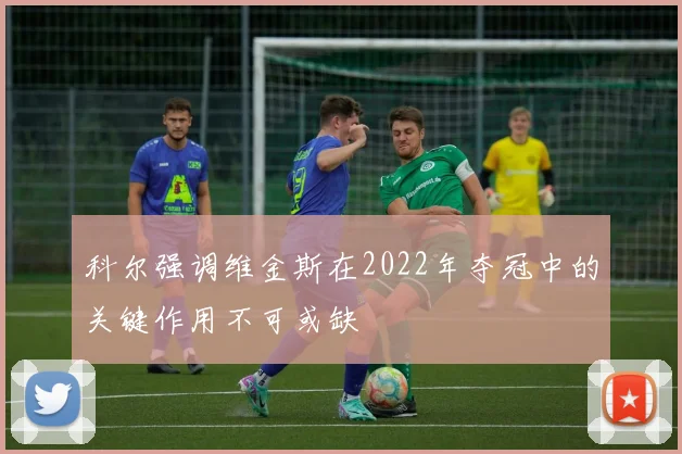 科尔强调维金斯在2022年夺冠中的关键作用不可或缺